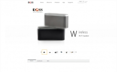 DOSS TECHNOLOGY CO.,LED. (智能蓝牙音响)