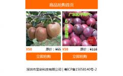 订单系统/微商推广网站/营销型网站/微订单